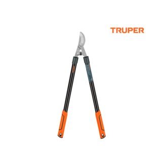 import placeholder for 4913