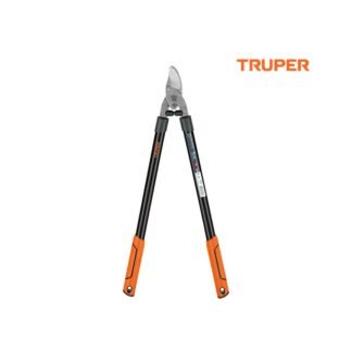 import placeholder for 4912